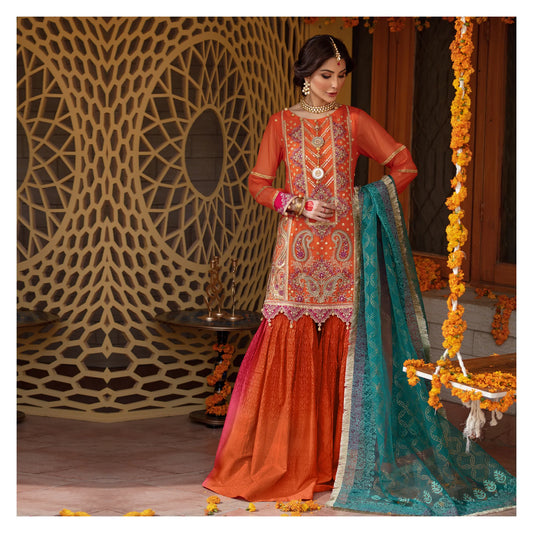 Sequins Embroidered Chiffon Gharara