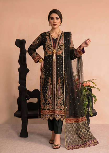 Designer Black Embroidered Organza Salwar Suit Online in UK USA Canada