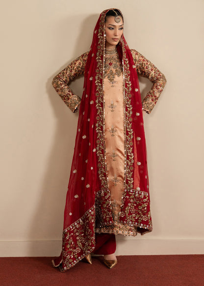 Designer Embroidered Peach Orange Salwar Kameez Online in Dubai UAE Abudhabi Ajman Sharjah