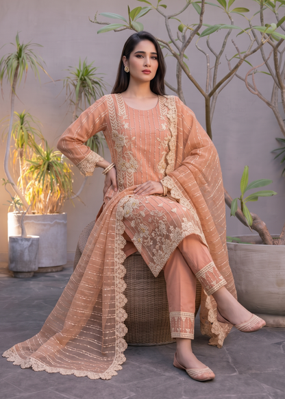 Designer Peach Organza Suit for Women Online in Dubai DXB UAE Abudhabi Meena Bazaar