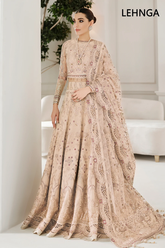 Beige Net Embroidered Saree