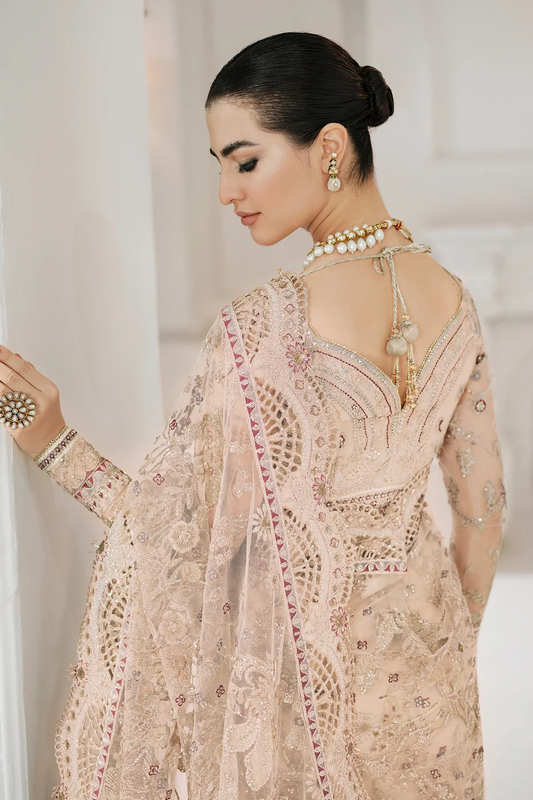 Beige Net Embroidered Saree