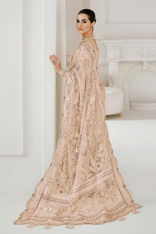 Beige Net Embroidered Saree