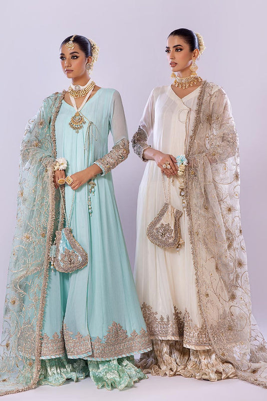 Hand Embroidered Pure Chiffon Sharara