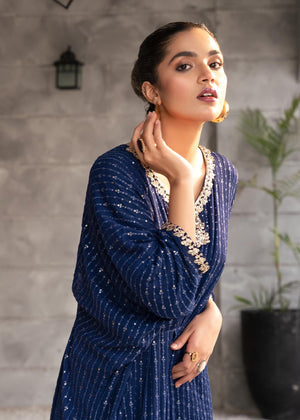 Blue Embroidered Chiffon Kaftan