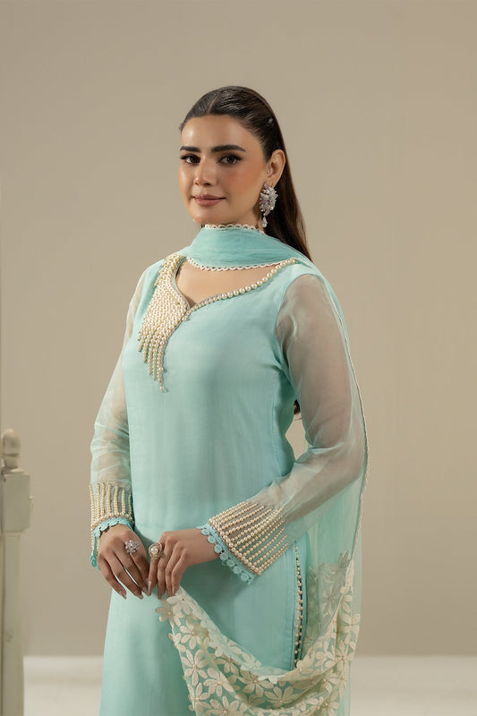 Cyan Pure Organza Suit with Pearl Work
