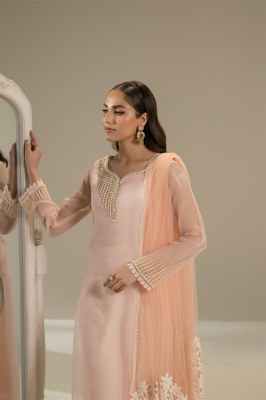 Pink Pure Organza Suit with Pearl Work