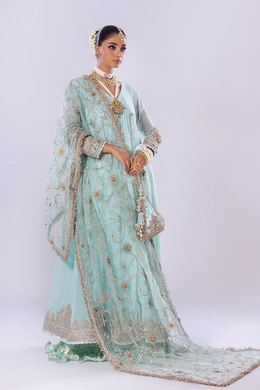 Hand Embroidered Pure Chiffon Sharara