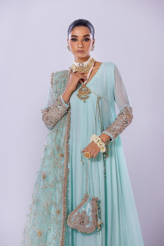 Hand Embroidered Pure Chiffon Sharara