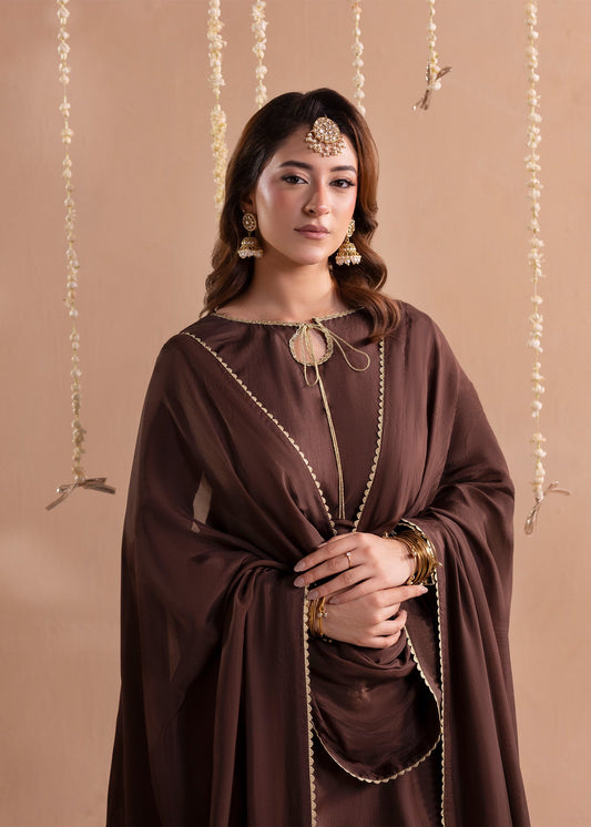 Embellished Brown Raw Silk Pakistani Suit with Balloon Pants Online in Dubai DXB UAE Abudhabi Meena Bazaar