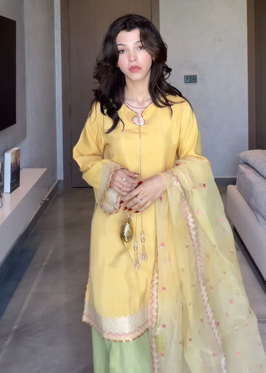 Embellished Multi Color Raw Silk Farshi Shalwar Party Wear Online in UK USA Canada