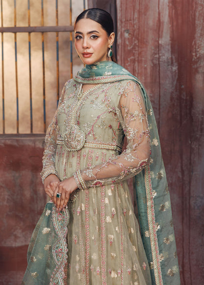 Embellished Net Maxi with Dupatta Ladies Salwar Kameez Online in Dubai UAE Abudhabi Ajman Sharjah