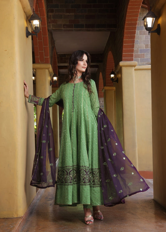 Embellished Pistachio Green Chiffon Floor-Length Suit Online in Dubai DXB UAE Abudhabi Meena Bazaar