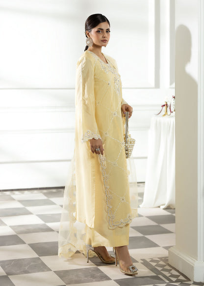 Embellished Silk Salwar Kameez for Women Online in Dubai UAE Abudhabi Ajman Sharjah