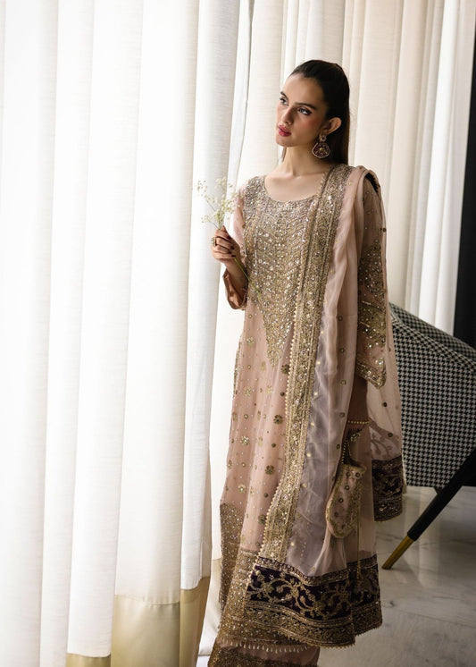 Embroidered Beige Chiffon Dress Material Online in Sri Lanka India Australia