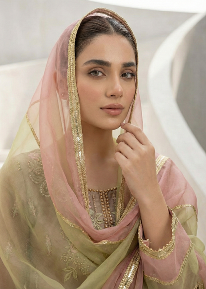 Embroidered Beige Organza Ladies Suit Online in KSA Riyadh Saudi Arabia Oman Bahrain Qatar