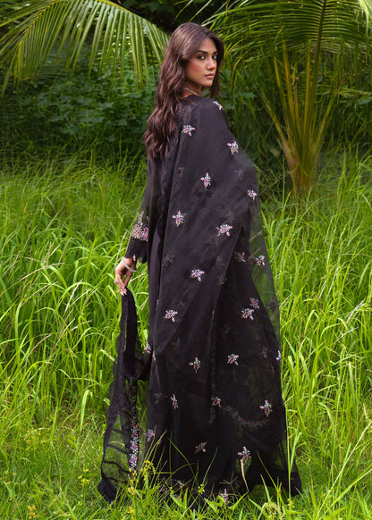 Embroidered Black Cambric Festive Wear Suit Online in Sri Lanka India Australia