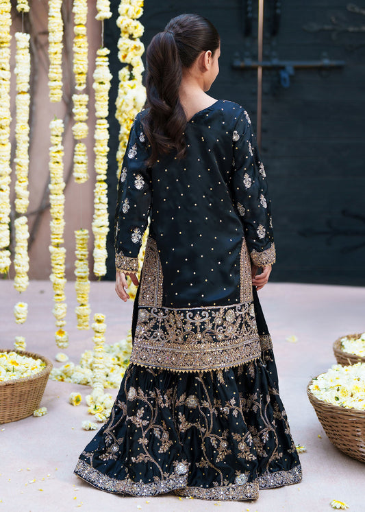 Embroidered Black Organza Dupatta Lehenga Set Online in UK USA Canada