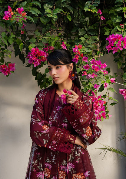 Embroidered Blood Red Lawn Suit Online in Sri Lanka India Australia