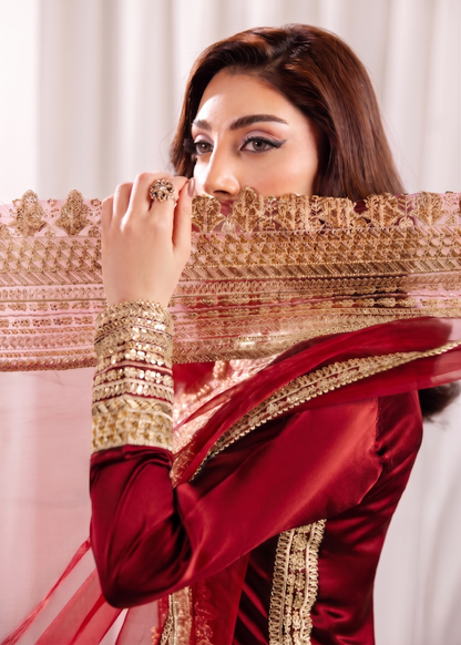 Embroidered Blood Red Silk Pakistani Suit Online in Dubai UAE Abudhabi Ajman Sharjah