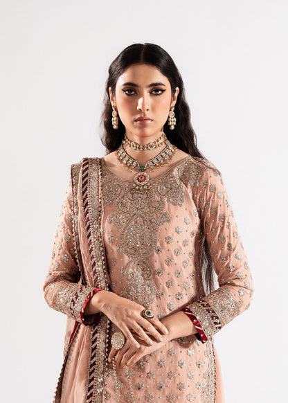 Embroidered Blush Pink Chiffon Wedding Guest Wear Online in Dubai UAE Abudhabi Ajman Sharjah