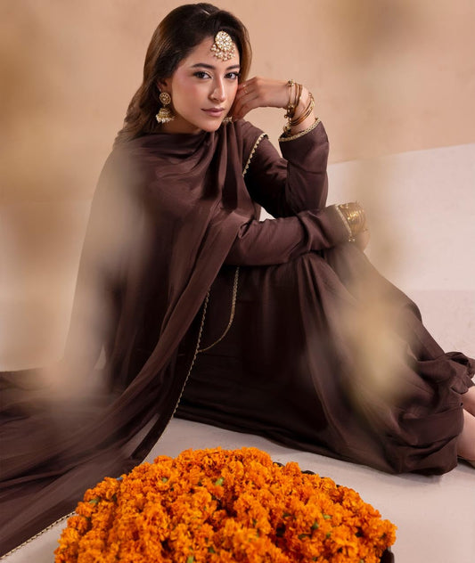 Embroidered Brown Silk Festive Suit Online in Sri Lanka India Australia