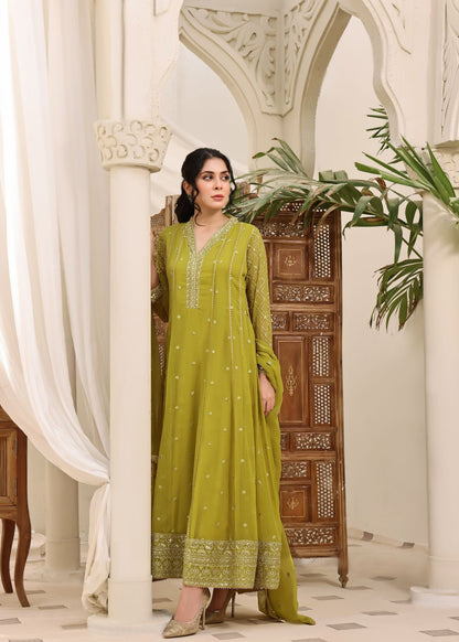 Embroidered Chiffon Flared Pishwas Salwar Kameez Online in KSA Riyadh Saudi Arabia Oman Bahrain Qatar