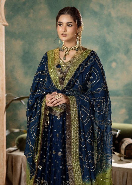 Embroidered Chiffon Wedding Guest Suit Online in Sri Lanka India Australia