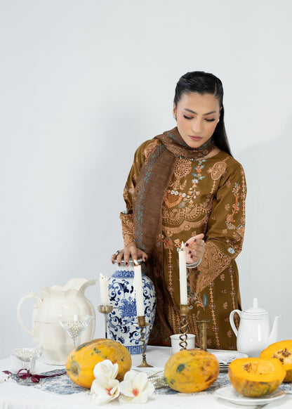 Embroidered Cotton Long Kurta Suit Online in Dubai DXB UAE Abudhabi Meena Bazaar