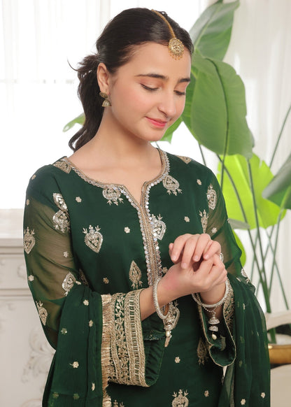 Embroidered Green Chiffon 3 Piece Suit Online in Sri Lanka India Australia