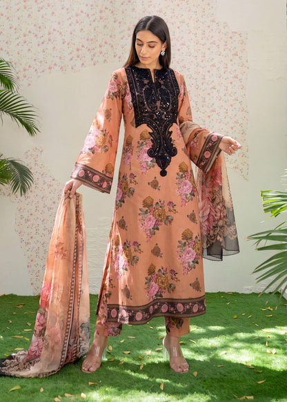 Embroidered Lawn Cotton Toast Orange Pakistani Suit Online in Dubai DXB UAE Abudhabi Meena Bazaar