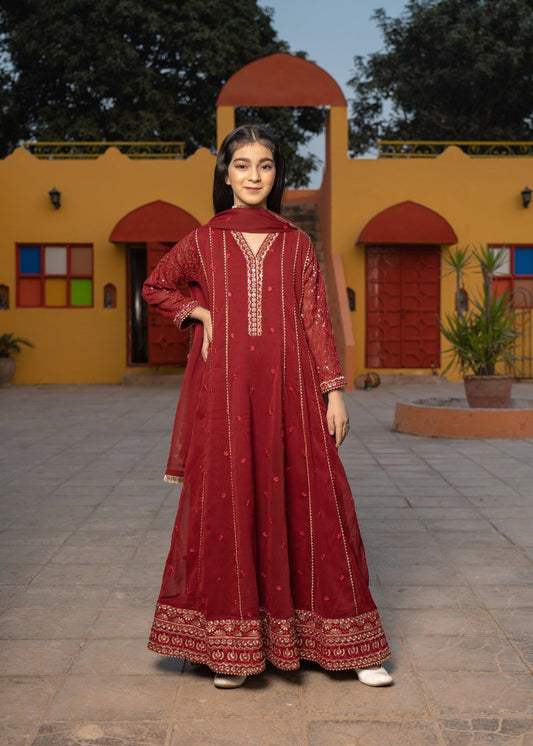 Embroidered Maroon Chiffon Flared Pishwas Online in Sri Lanka India Australia