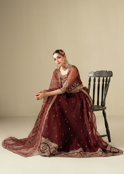 Embroidered Maroon Organza Wedding Guest Wear Online in KSA Riyadh Saudi Arabia Oman Bahrain Qatar