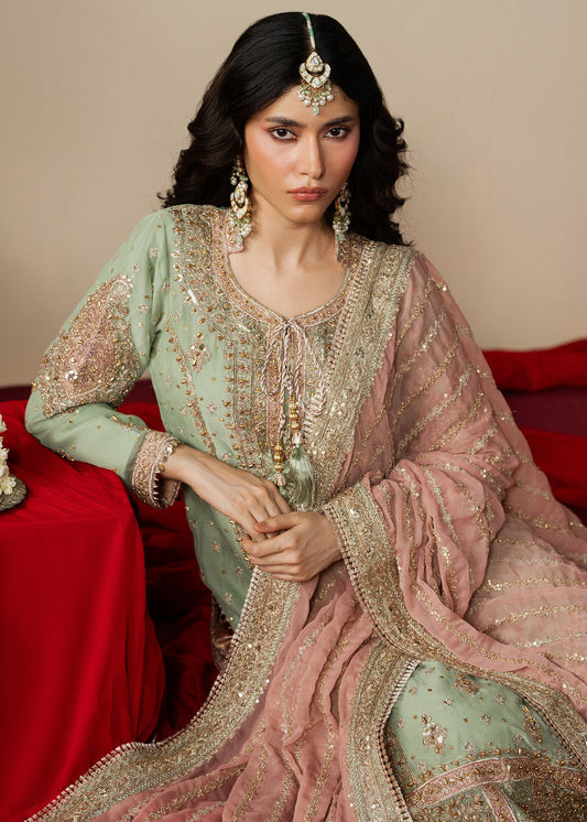 Embroidered Mint Green Chiffon Ladies Suit Online in UK USA Canada