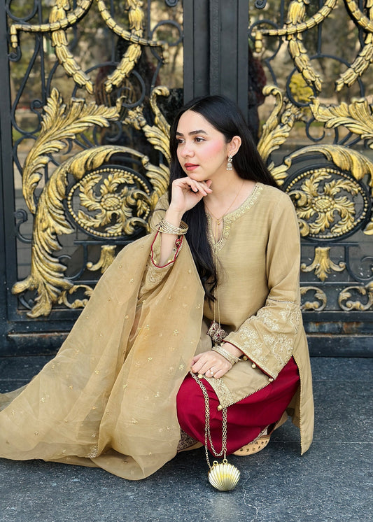 Embroidered Multi Color Silk Farshi Shalwar Online in Sri Lanka India Australia