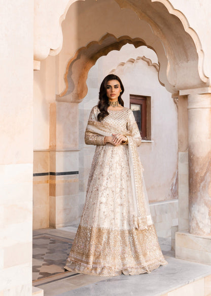 Embroidered Net Dupatta Set Online in Sri Lanka India Australia