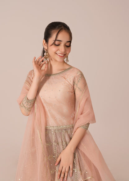 Embroidered Net Lehenga Set Tea Rose Pink Online in Dubai DXB UAE Abudhabi Meena Bazaar