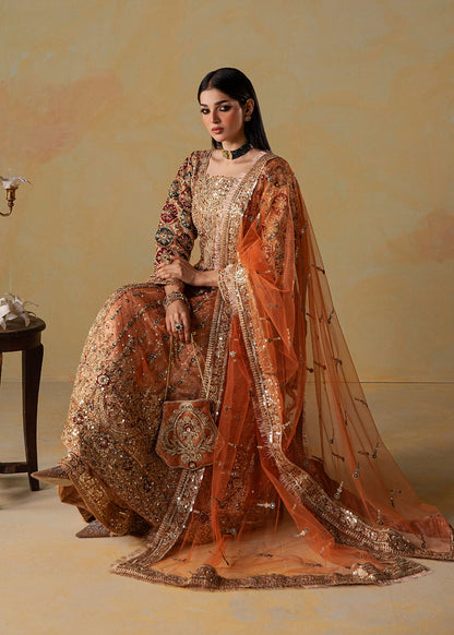 Embroidered Net Maxi for Wedding Guest Online in Dubai UAE Abudhabi Ajman Sharjah