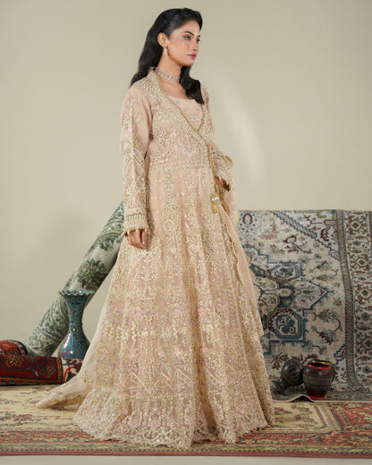 Embroidered Net Maxi Pakistani Clothes Online in Dubai DXB UAE Abudhabi Meena Bazaar