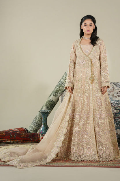 Embroidered Net Maxi with Organza Dupatta Online in Dubai UAE Abudhabi Ajman Sharjah
