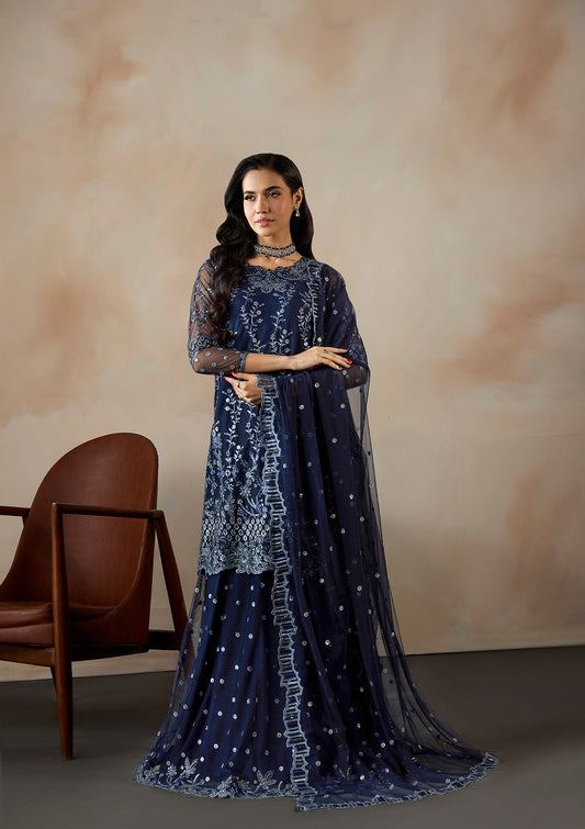 Embroidered Net Top with Raw Silk Bottom Navy Blue Partywear Online in Sri Lanka India Australia