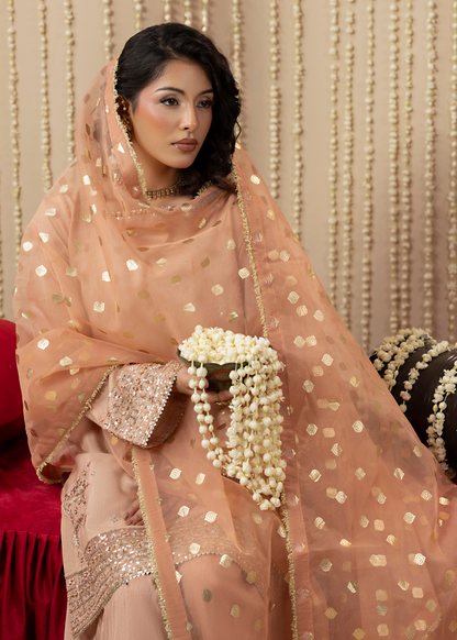 Embroidered Organza Dupatta Raw Silk Kurta Online in Dubai DXB UAE Abudhabi Meena Bazaar