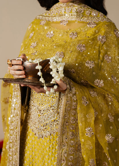 Embroidered Organza Mustard Pakistani Wedding Dress Online in Sri Lanka India Australia