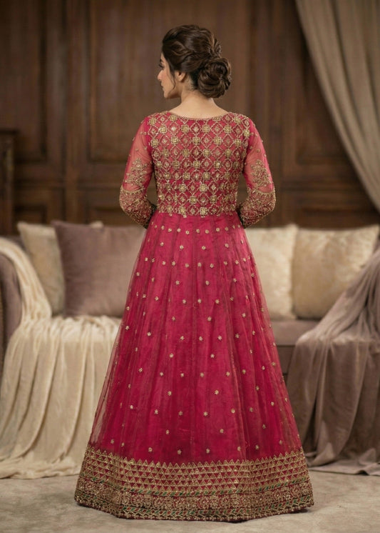 Embroidered Organza Party Wear Suit Online in Sri Lanka India Australia