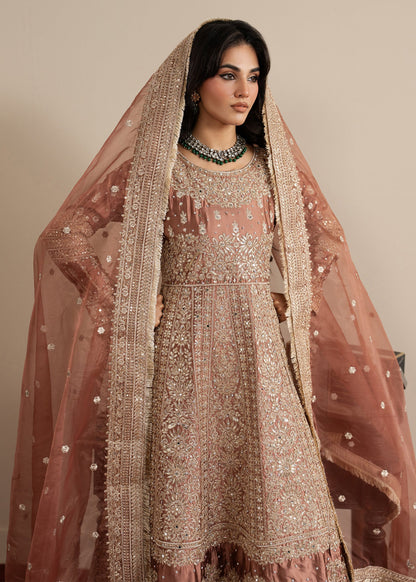 Embroidered Organza Sharara Suit for Women Online in KSA Riyadh Saudi Arabia Oman Bahrain Qatar