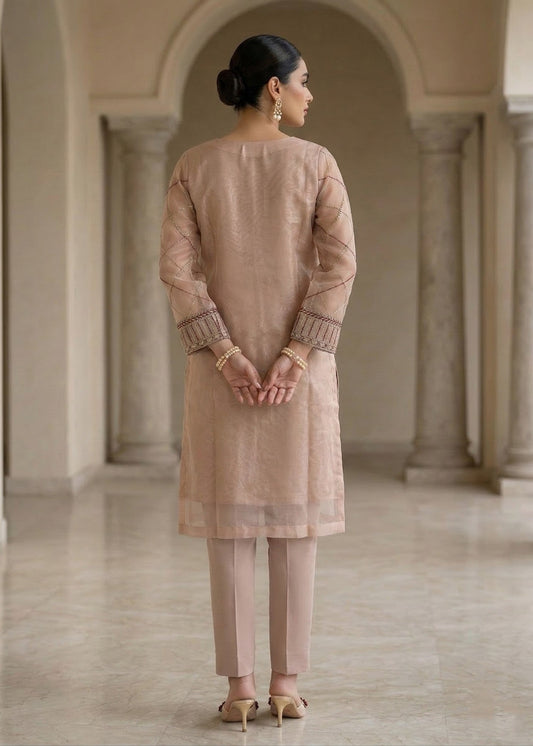 Embroidered Organza Straight Kurta Suit Online in Dubai DXB UAE Abudhabi Meena Bazaar