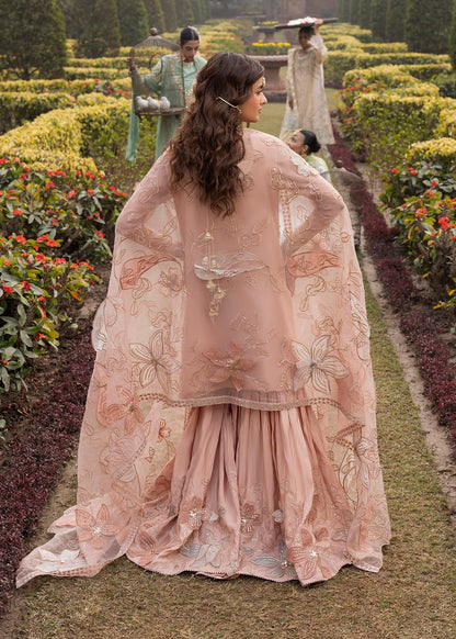 Embroidered Peach Orange Sharara Gharara Online in UK USA Canada