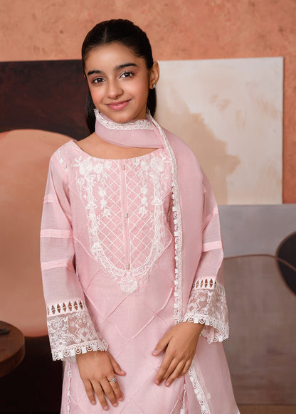 Embroidered Pink Cotton Silk Festive Wear Salwar Suit Online in Dubai UAE Abudhabi Ajman Sharjah