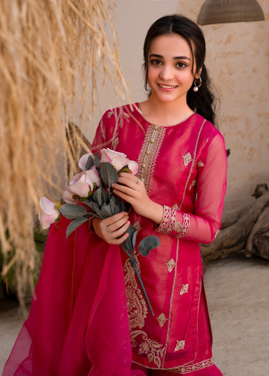 Embroidered Pink Gharara Dupatta Organza Online in Dubai DXB UAE Abudhabi Meena Bazaar
