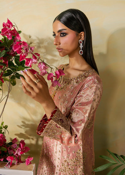 Embroidered Pink Viscose Salwar Kameez Online in Sri Lanka India Australia